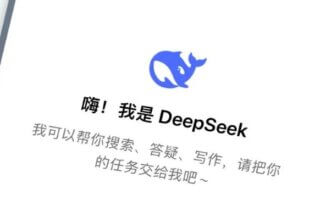 从被攻击到被追捧,DeepSeek 如何重塑 AI 游戏规则